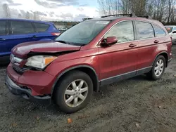 SUV salvage a la venta en subasta: 2007 Honda CR-V EXL