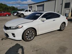 2013 Honda Accord EX en venta en Gaston, SC