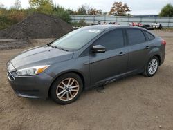 Salvage cars for sale at Columbia Station, OH auction: 2016 Ford Focus SE