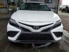 2024 Toyota Camry SE Night Shade