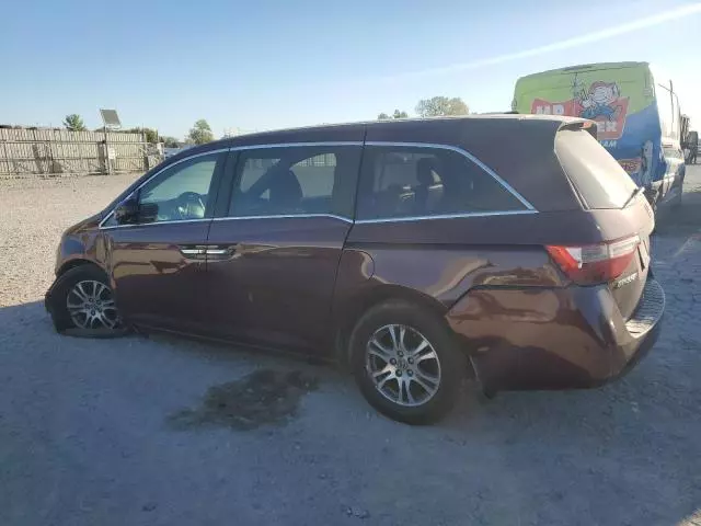 2013 Honda Odyssey EXL