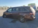 2013 Honda Odyssey EXL