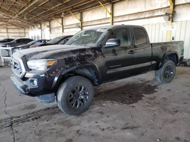 2023 Toyota Tacoma Access Cab