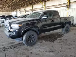 2023 Toyota Tacoma Access Cab en venta en Phoenix, AZ