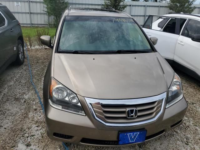 2009 Honda Odyssey EXL