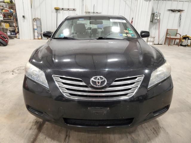 2009 Toyota Camry Hybrid