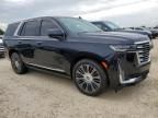 2021 Cadillac Escalade Premium Luxury Platinum