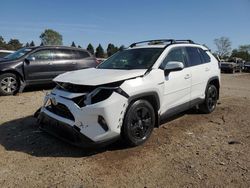 2019 Toyota Rav4 XLE en venta en Elgin, IL