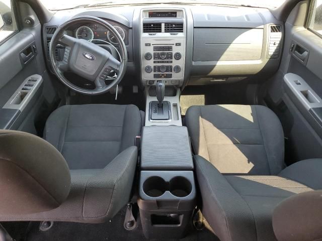 2009 Ford Escape XLT