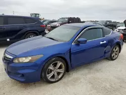 Salvage cars for sale from Copart Arcadia, FL: 2011 Honda Accord EXL