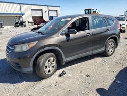 Honda salvage cars for sale: 2013 Honda CR-V LX