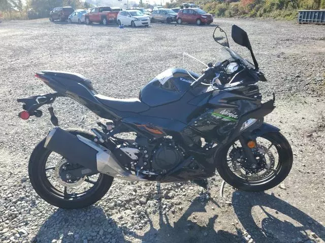 2024 Kawasaki EX500 H