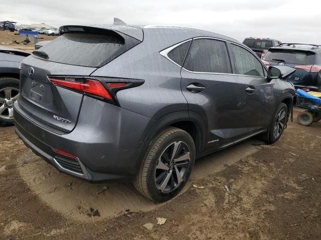 2019 Lexus NX 300H