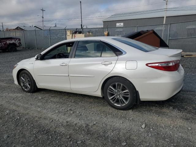 2015 Toyota Camry Hybrid