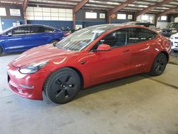 Salvage cars for sale at East Granby, CT auction: 2023 Tesla Model 3