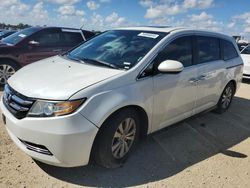 2014 Honda Odyssey EXL en venta en Arcadia, FL