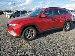 Salvage cars for sale at Riverview, FL auction: 2022 Hyundai Tucson SEL