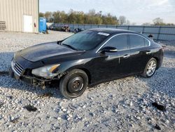 Salvage cars for sale at Lawrenceburg, KY auction: 2010 Nissan Maxima S