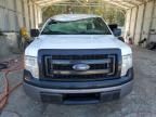 2013 Ford F150