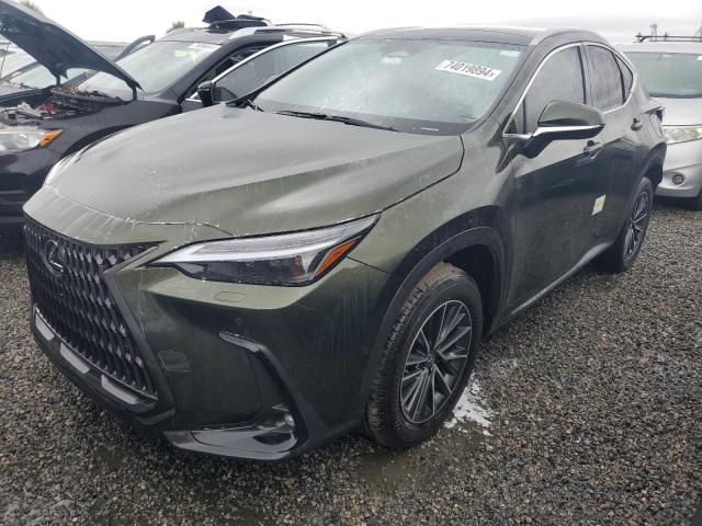 2024 Lexus NX 350H Base