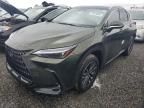 2024 Lexus NX 350H Base