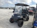 2024 Aspt Golf Cart