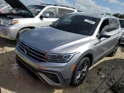 Salvage cars for sale at Arcadia, FL auction: 2023 Volkswagen Tiguan SE