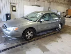 Ford Vehiculos salvage en venta: 2003 Ford Taurus SE