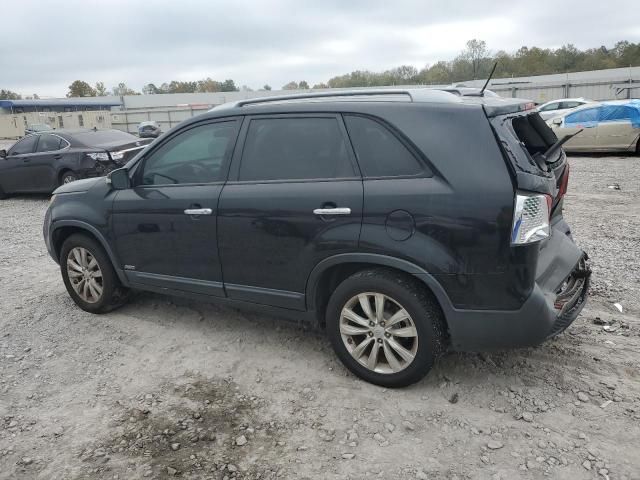 2011 KIA Sorento Base