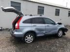 2009 Honda CR-V EXL