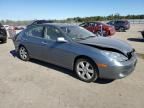 2006 Lexus ES 330