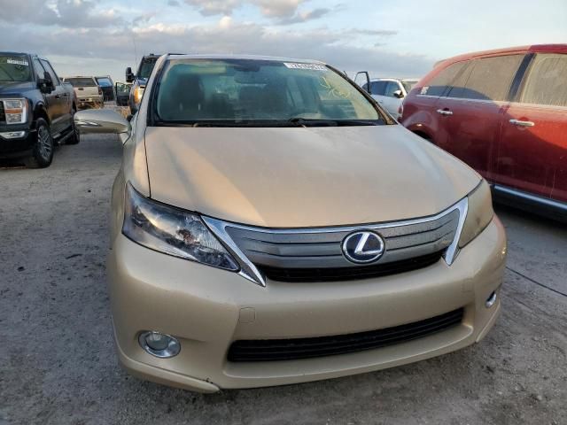 2010 Lexus HS 250H