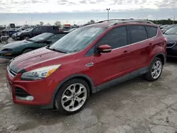 Vehiculos salvage en venta de Copart Indianapolis, IN: 2013 Ford Escape Titanium