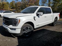 2023 Ford F150 Supercrew en venta en Marlboro, NY