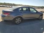 2010 Honda Accord LXP