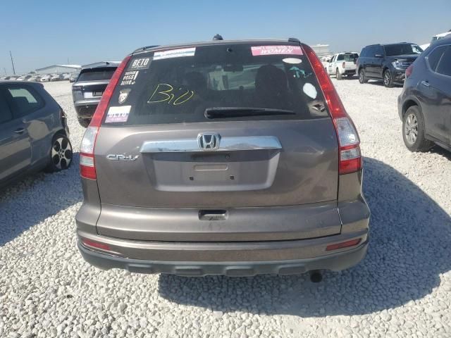 2010 Honda CR-V EXL