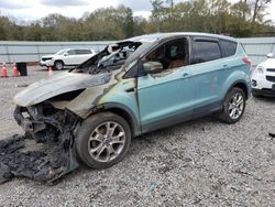 Salvage cars for sale from Copart Augusta, GA: 2013 Ford Escape SEL