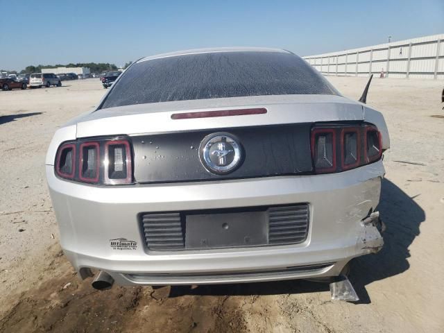 2013 Ford Mustang