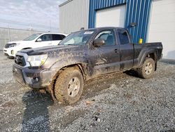 Salvage cars for sale from Copart Elmsdale, NS: 2015 Toyota Tacoma Access Cab