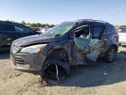 Salvage cars for sale at Antelope, CA auction: 2015 Ford Escape Titanium