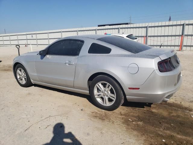 2013 Ford Mustang