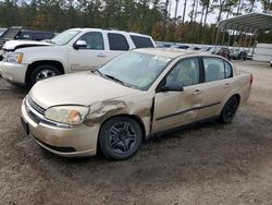 Salvage cars for sale at Harleyville, SC auction: 2004 Chevrolet Malibu