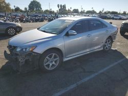 Toyota salvage cars for sale: 2013 Toyota Camry SE