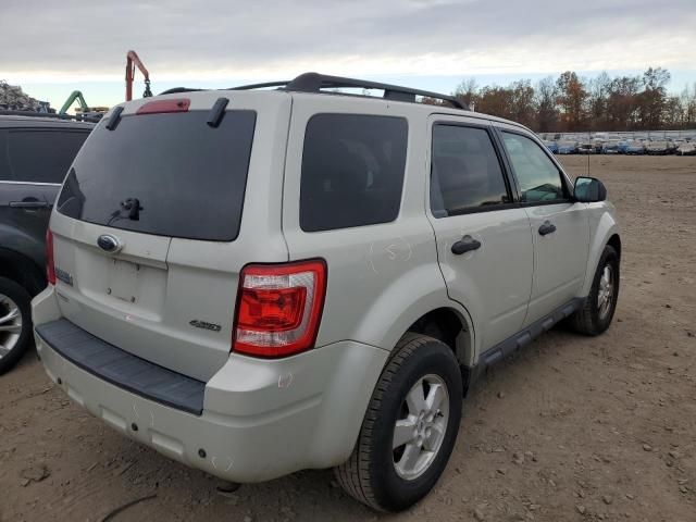 2009 Ford Escape XLT