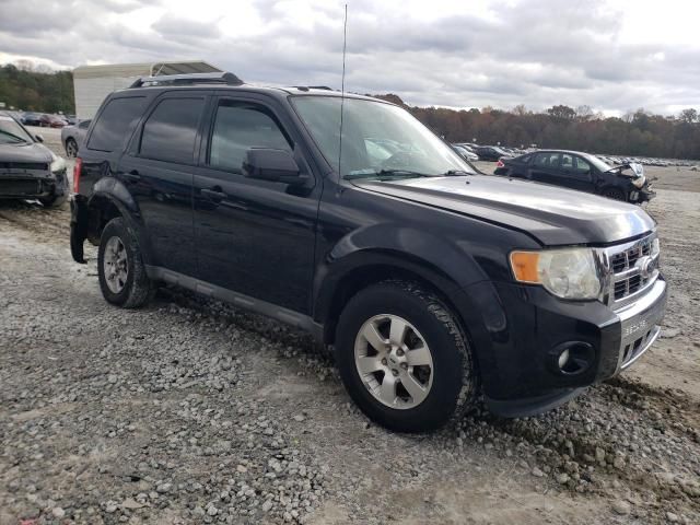 2010 Ford Escape Limited