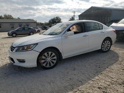 Salvage cars for sale from Copart Midway, FL: 2013 Honda Accord EXL