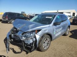 Salvage cars for sale from Copart Brighton, CO: 2022 Ford Escape SE