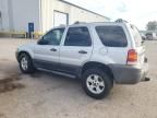 2007 Ford Escape XLT