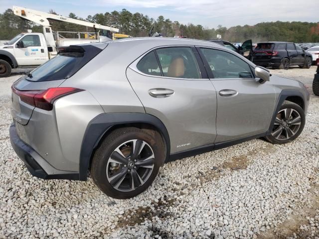 2020 Lexus UX 250H