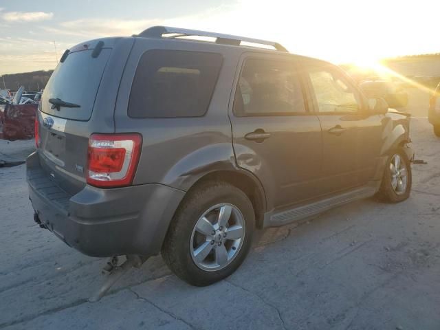 2010 Ford Escape Limited